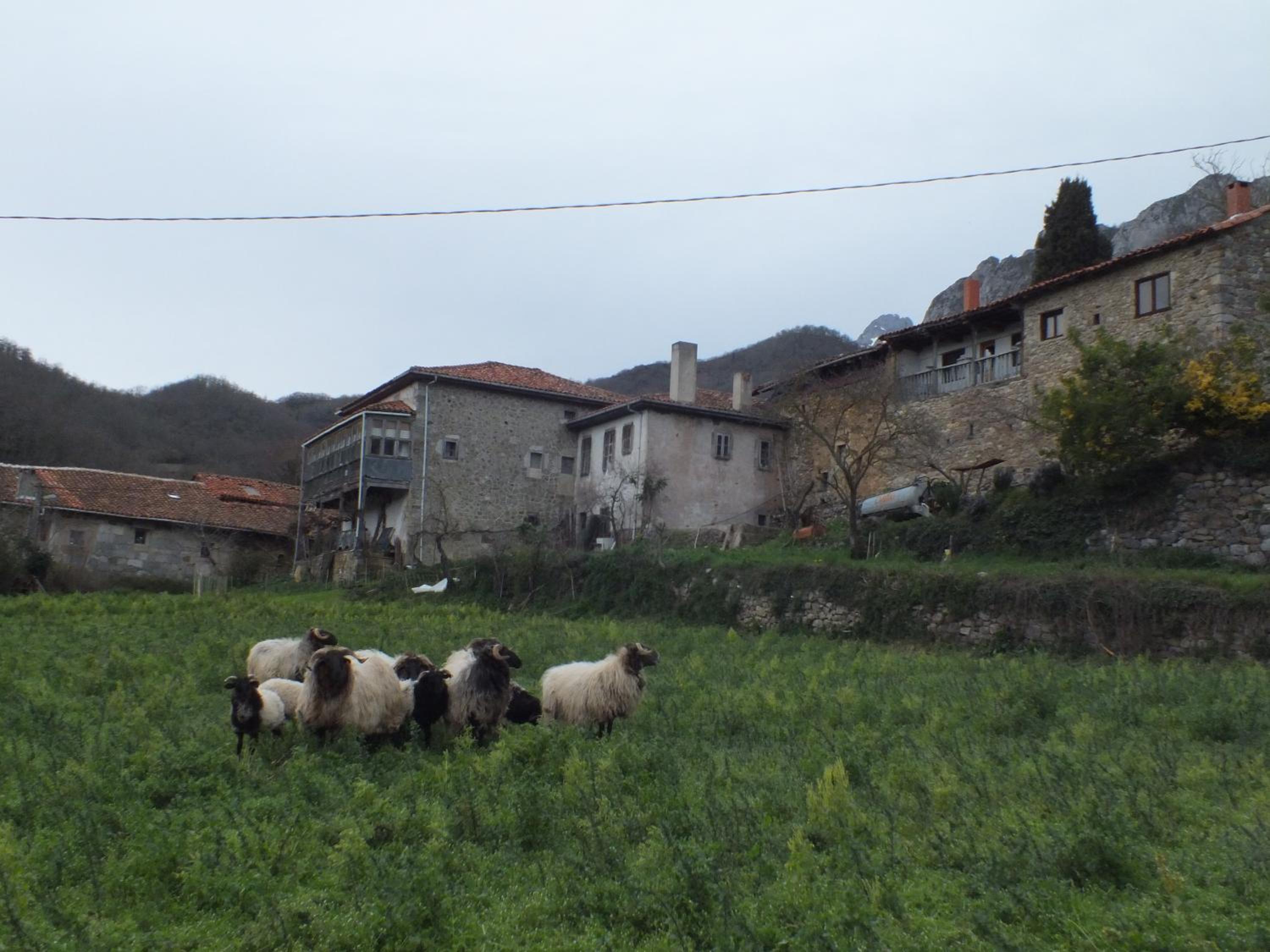 Casa Rural el Enebral en Potes Picos de Euopa