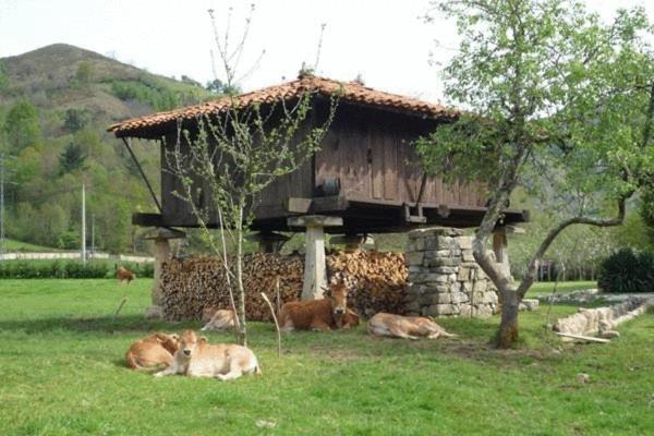 Hotel Rural Sucuevas