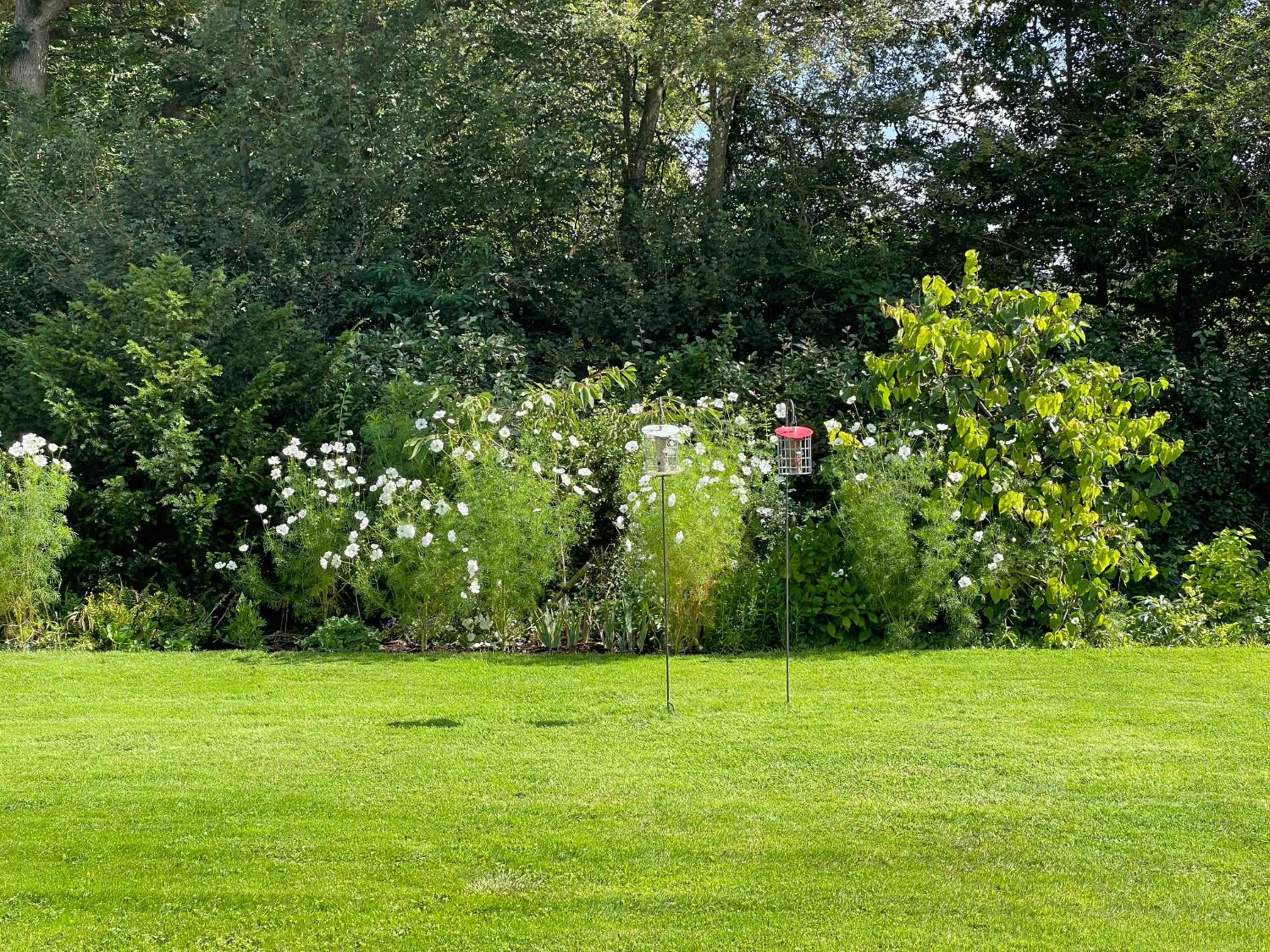 White Lodge B&B