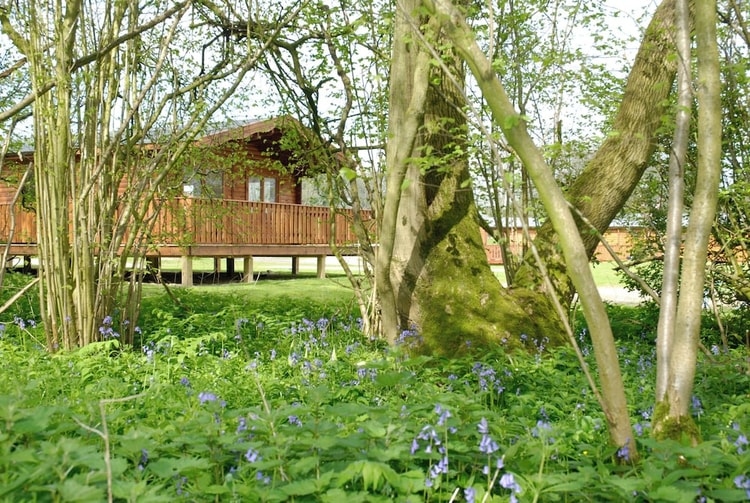hotel image 0