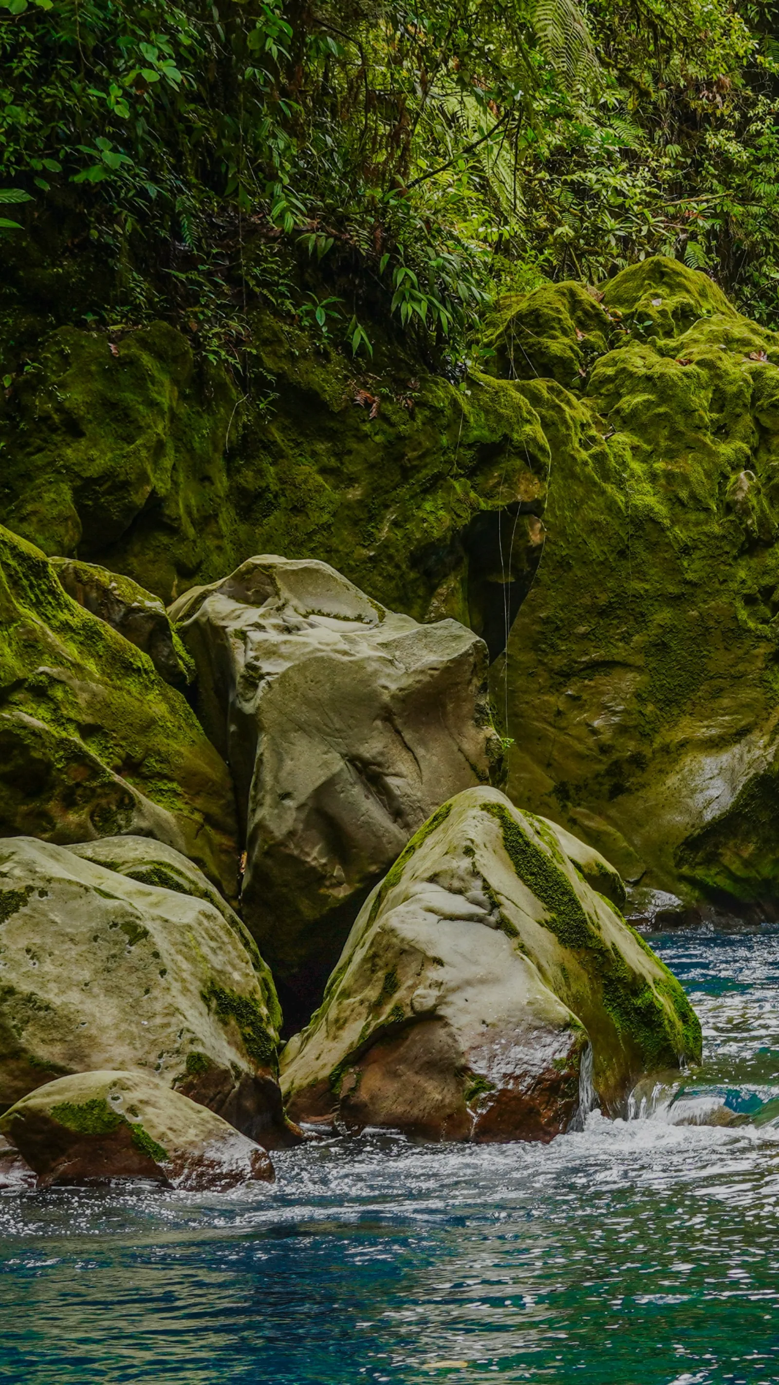 Yoga in Costa Rica