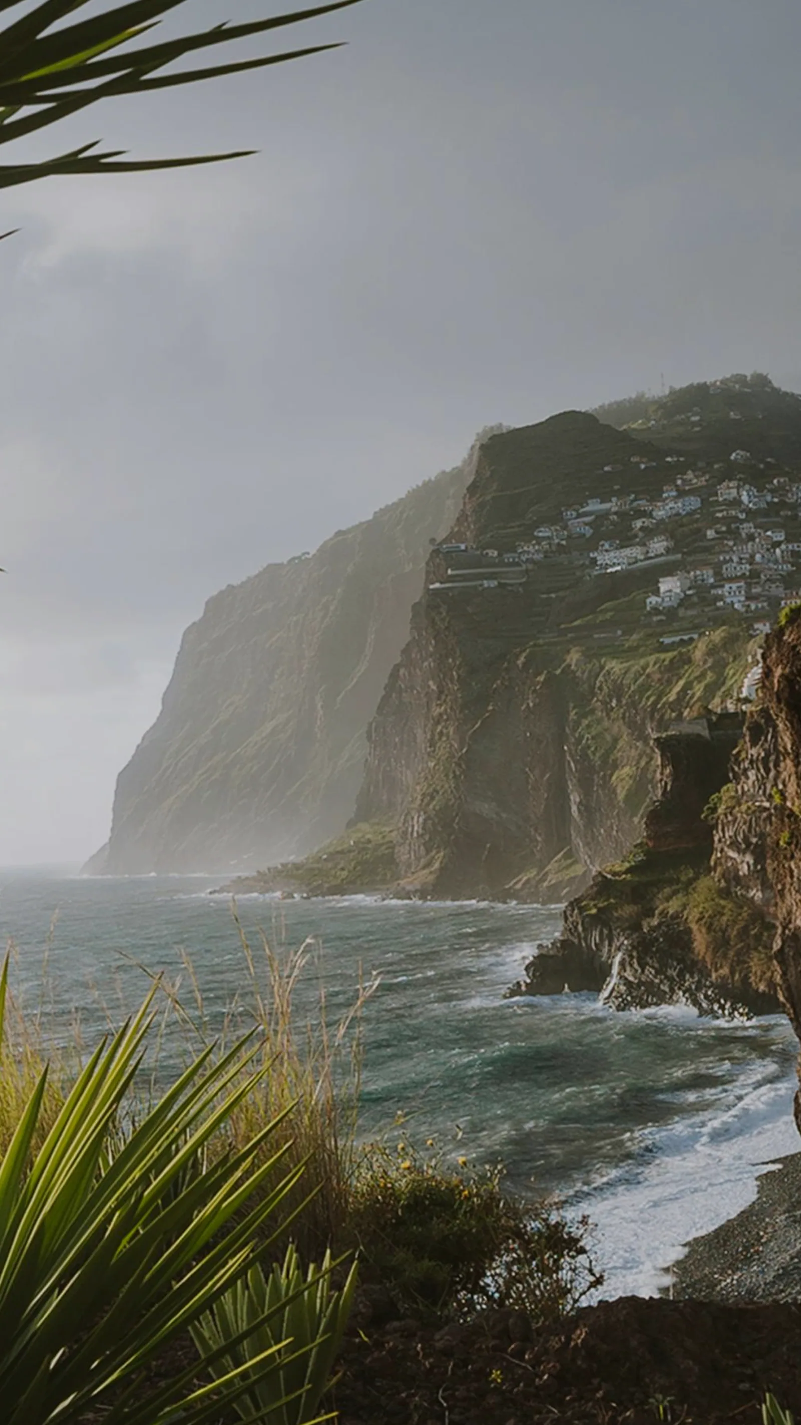 Yoga in Madeira